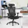 Costway Ergonomic High Back Mesh Office Chair W/ Adjustable Lumbar Support 1 Costway Ergonomic High Back Mesh Office Chair W/ Adjustable Lumbar Support -HOMCOM Sales Store GUEST 09c06497 3999 4d8e b938 e54f5415377e