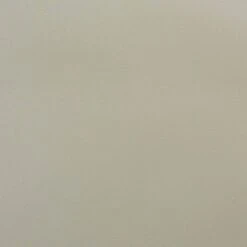 4pc Rae Plastic Stackable Dining Chair Set - Baxton Studio 15 4pc Rae Plastic Stackable Dining Chair Set - Baxton Studio -HOMCOM Sales Store GUEST 8ab87bac 3911 49c7 87d7 dc24c5c4ad4d